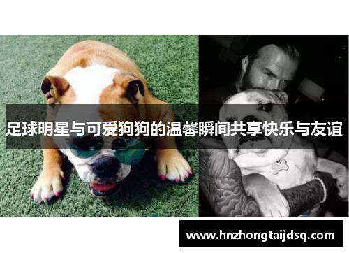 足球明星与可爱狗狗的温馨瞬间共享快乐与友谊